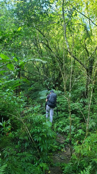 2026-0204 中坑古道_下坑古道O型3005566