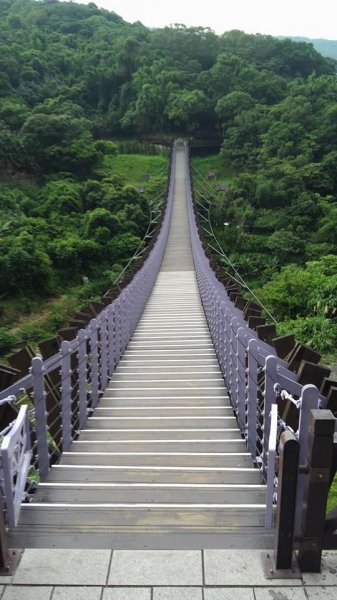 白石湖吊橋&碧山嚴1236627