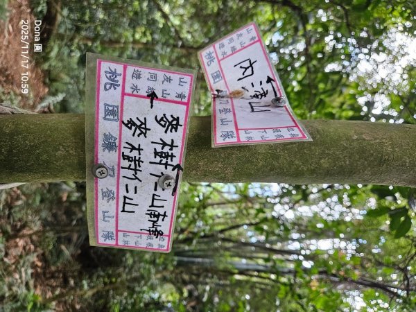 20251117新竹內灣三山四峰(內灣山.麥樹仁山南峰.麥樹仁山.白石湖山)2939903