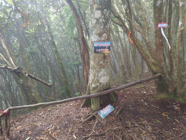 2025.07.05－高島縱走2828200