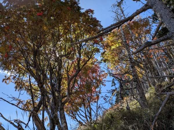 20251105 雪劍縱走2934657