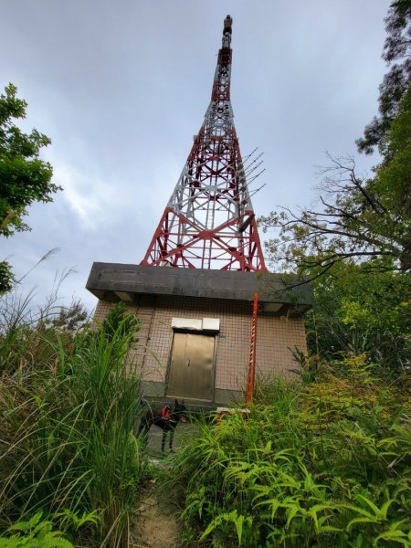 帶著毛孩悠遊山林-202404062600609