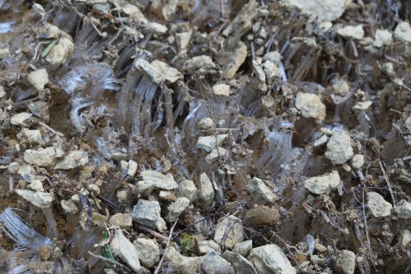 熊野古道小邊路.熊野三山2485445