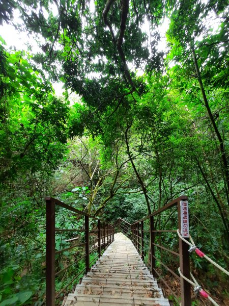 《彰化》桃源里森林步道、龍鳳谷森林步道1047492