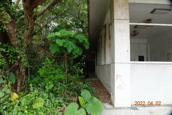 臺南 龍崎 烏山頭山(龍船窩山)1663625