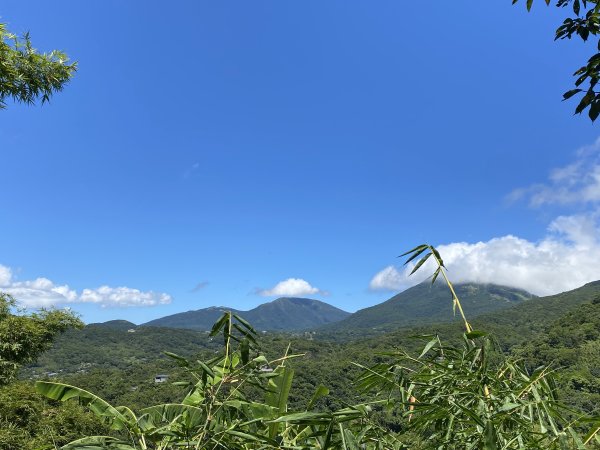 《探訪內雙溪三圳流向｜大崎頭步道 × 鵝尾山》2877204
