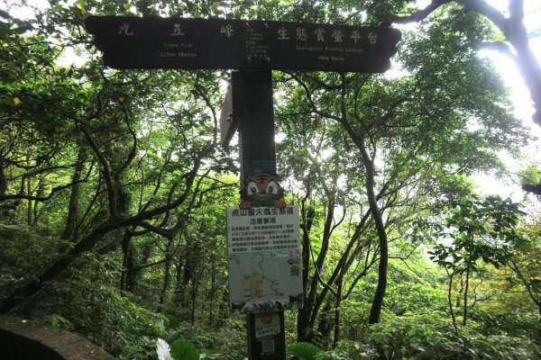 小百岳NO.13南港山，南港山北峰，九五峯2285593