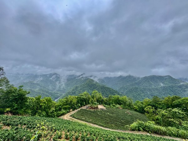 大舌湖山-漁光國小-茶園-虎寮潭吊橋2773006