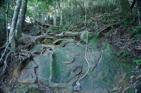 新竹 尖石 內鳥嘴山2899163