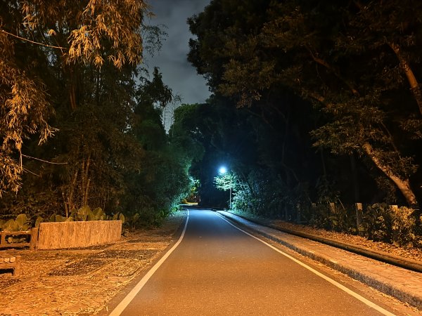 [漫遊縱谷 愛在花東-10/10] 2025_1012 美崙山步道2913585