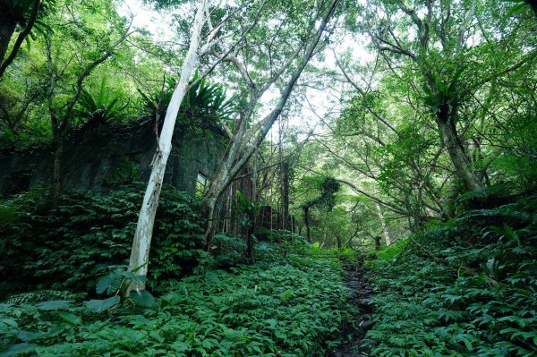 新北 三峽 白雞山、雞罩山2551207