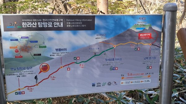 濟州島漢拏山-靈室路線上2942632