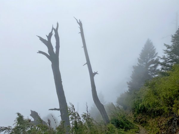 終於踏上十峻之首玉山東峰202010071125051