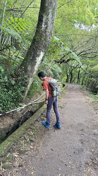 我的夏日健行→絹絲瀑布步道→冷水坑2203649