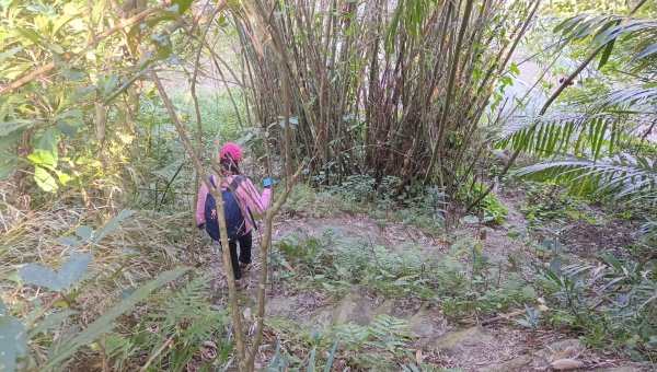 (姨婆趴趴走)第四十六集:新竹關西赤柯山及南峰、東西獅頭山、馬福山環狀縱走2685818
