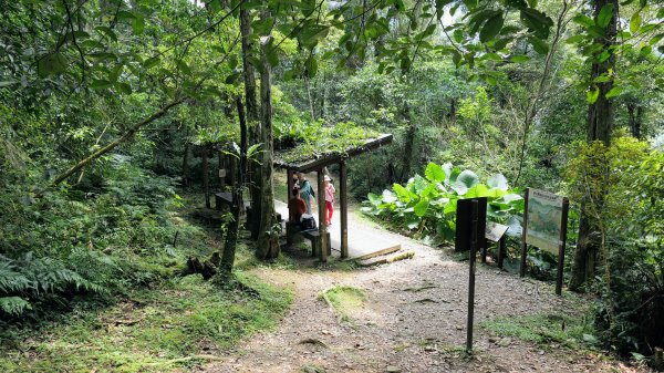 福山部落,內洞森遊區2552447