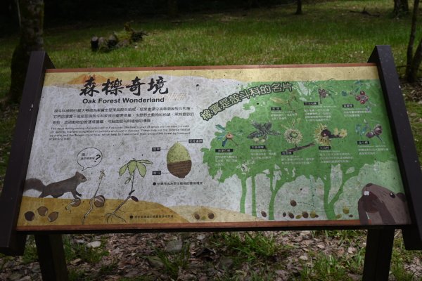 2025_0712 福山植物園2836318