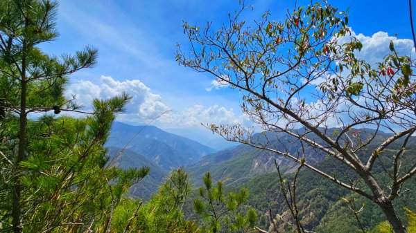 112.04.16 玉山前峰2123754