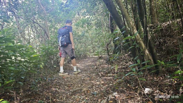 20251109 士林站到大湖站(福山宮_腰繞_燕溪古道_翠山步道_龍船岩_大溝溪)2932341