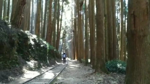 特富野古道  一條充滿懷舊風情的鐵路步道 