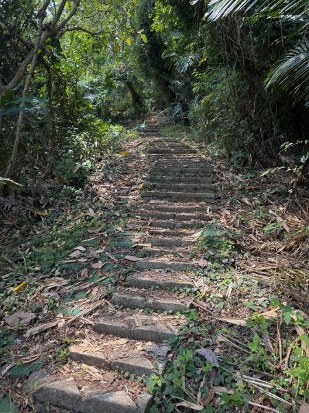 風空子山- 一睹南化水庫風景2771382
