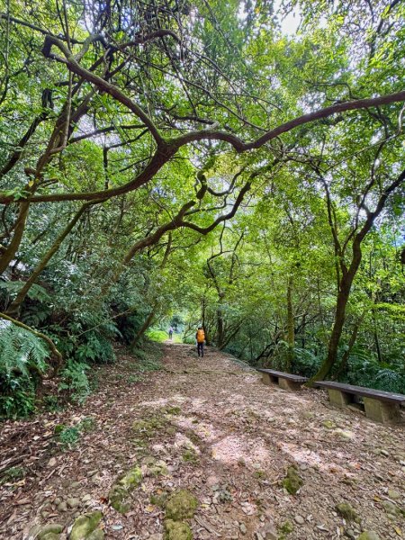 上磺溪橋走魚路古道/金包里城門/擎天崗/冷水坑2872114