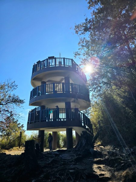 大雪山國家森林遊樂區賞楓／看神木／賞雪白山頭／賞大景2974270