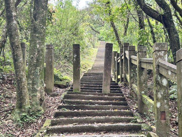 桃源谷步道(內寮、灣坑頭山、大溪)2756997