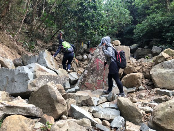 2020.03.08里龍山878290