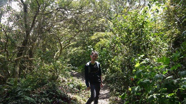 觀音山登山健行趣(小百岳05號)1632397