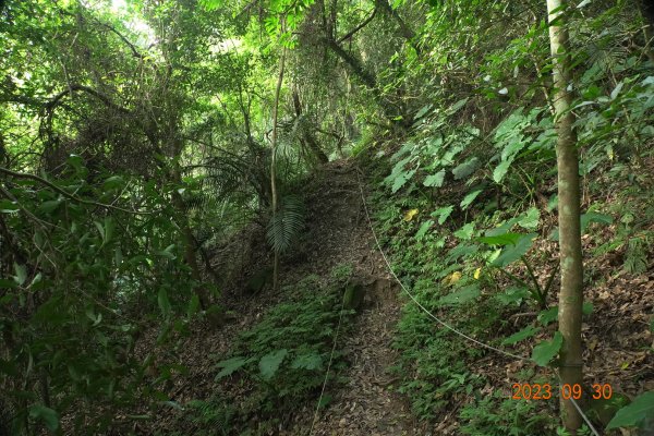 苗栗 大湖 玉女山、金童山、汶水山2301476