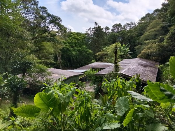 雙溪區大埤古道左線+柑腳山+570峰+大埤格+大埤古道右線O型2828792