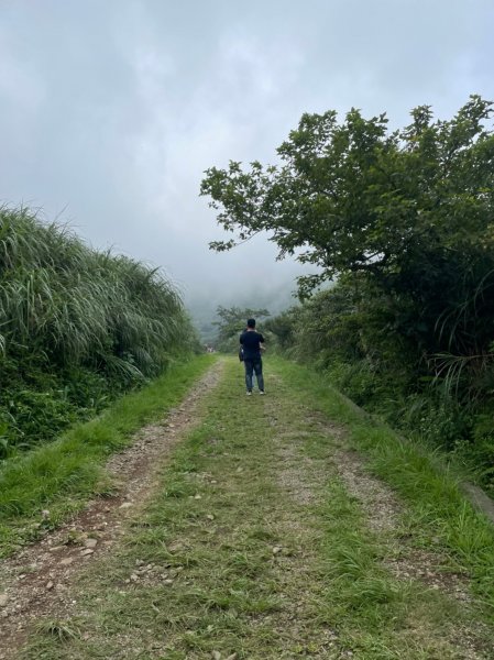 台北｜北投．士林 臺北大縱走第一段1487829
