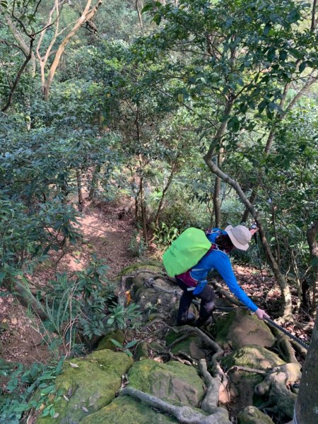 雙玉皇宮(三峽長壽山到中和圓通)843912