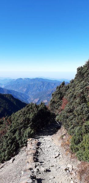 玉山前四峰之旅869556