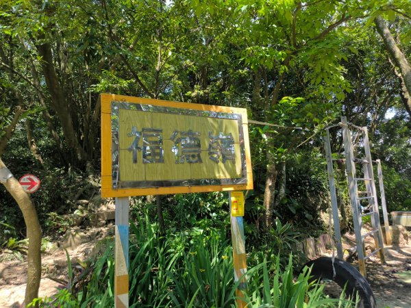 20250824鳶山彩壁2868531