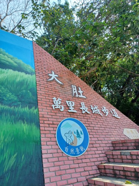 【台中大肚】綠蔭成徑。 大肚萬里長城步道O繞2790766