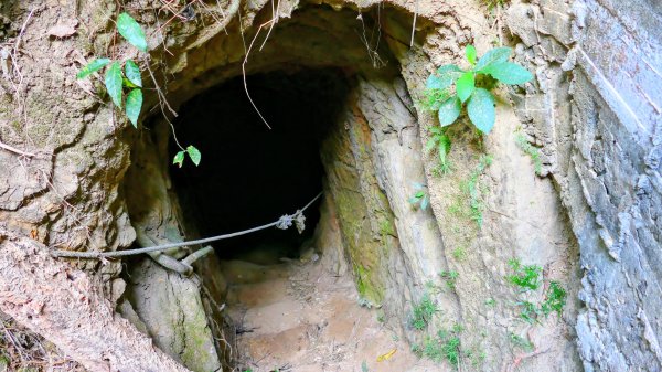 大社觀音山2954781