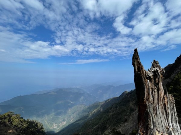 見證最美麗北大武山雲海、鐵杉1318828