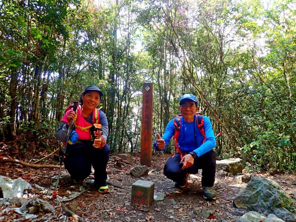 橫嶺山連走鳶嘴山2019/4/30575784