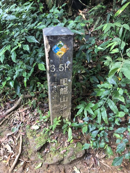 台灣小百岳No.080 里龍山908213