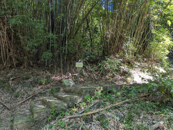 2023-09-28 臺北大縱走第五段2792903