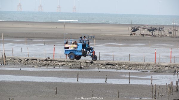 《彰化》海空夕照｜王功燈塔及芳苑海空步道健行賞冬候鳥202601102980276