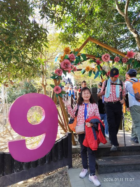 【臺中必訪步道】大坑9、10號步道  【小百岳集起來】#42 南觀音山3009466