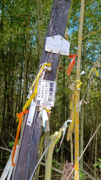 集集大山慢活行（孟宗竹林登山口）1627448