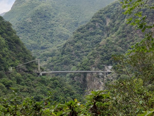 布洛灣景觀步道948711