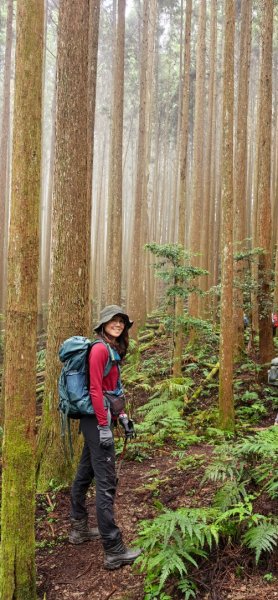 縱走大鳥鵝2828381