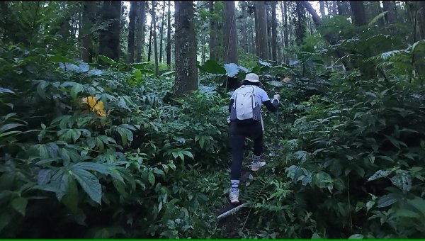 阿里山頂湖三連峰:天福山、芙蓉山、凸龜山2810080