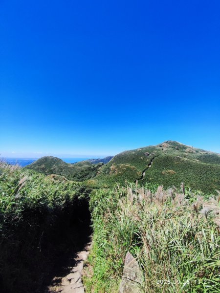 七星山二進2894967