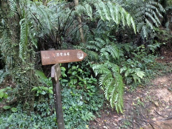 壹北大縱走第四段：風櫃嘴至大湖公園2809579